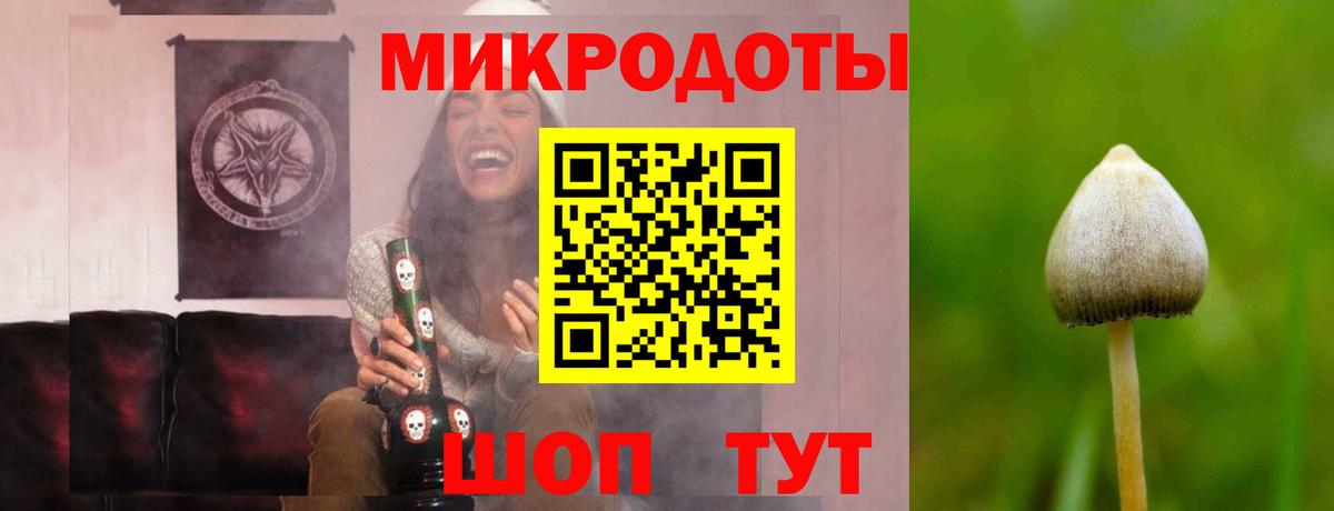 Псилоцибиновые грибы Cubensis  Вход с VPN  Феодосия  Галлюциногенные грибы прущие грибы 
